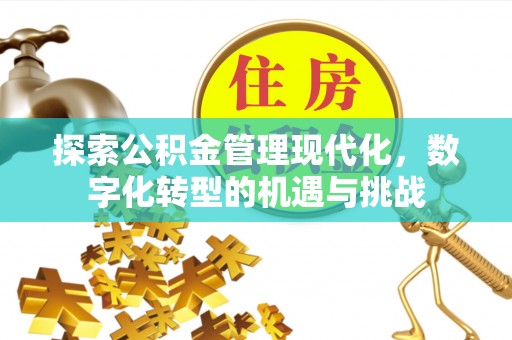琅琊探索公积金管理现代化，数字化转型的机遇与挑战