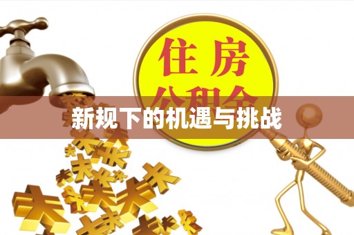 琅琊新规下的机遇与挑战