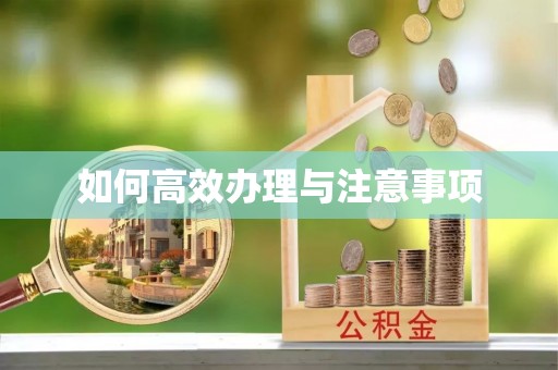 琅琊如何高效办理与注意事项