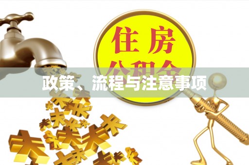 琅琊政策、流程与注意事项
