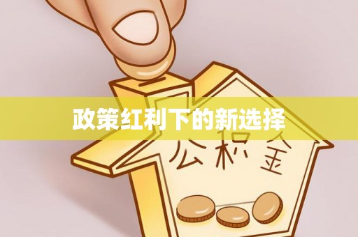 琅琊政策红利下的新选择