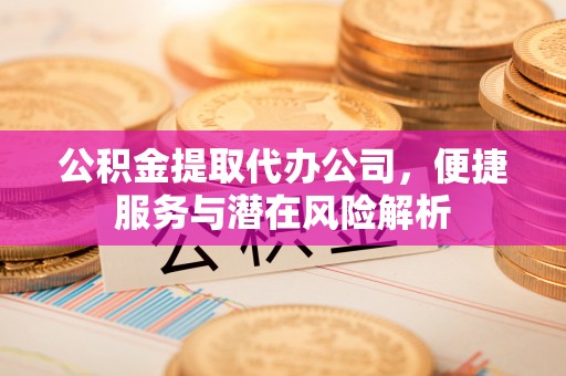 琅琊公积金提取代办公司，便捷服务与潜在风险解析