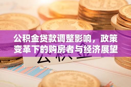 琅琊公积金贷款调整影响，政策变革下的购房者与经济展望