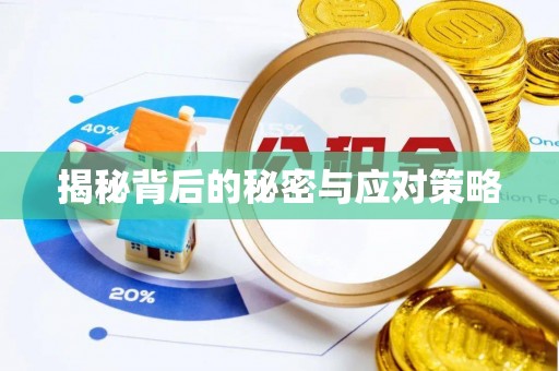 琅琊揭秘背后的秘密与应对策略