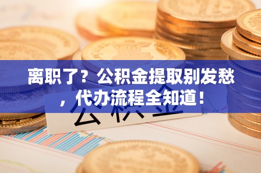 琅琊离职了？公积金提取别发愁，代办流程全知道！
