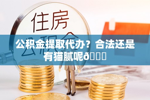 琅琊公积金提取代办？合法还是有猫腻呢😏