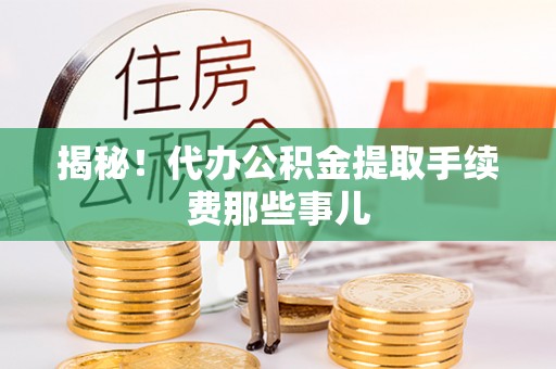琅琊揭秘！代办公积金提取手续费那些事儿