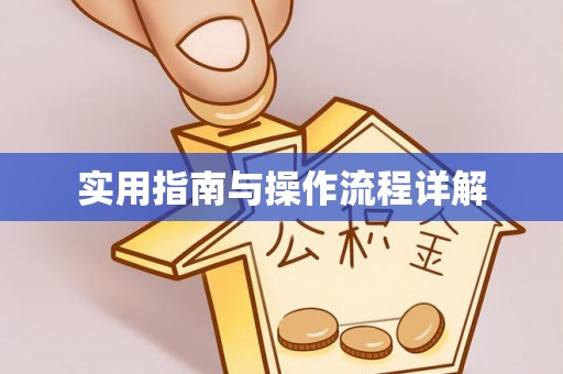 琅琊实用指南与操作流程详解