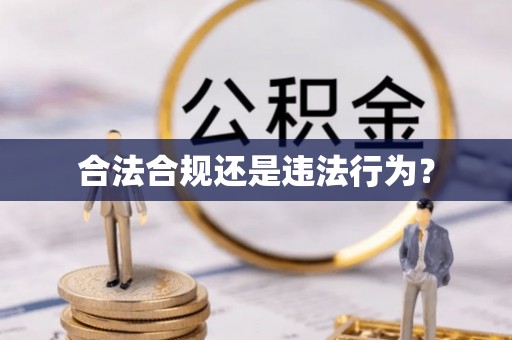琅琊合法合规还是违法行为？